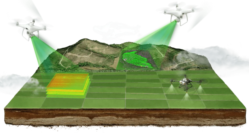 Drones na agricultura - ReiDrones